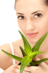 Resep aloe tina kedip-kedip heula